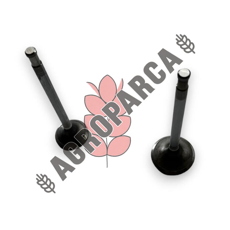 Pancar Motor Supap Takımı E89