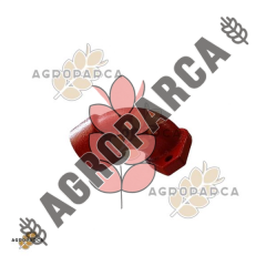 Pancar Motor Eksoz Dirseği E89