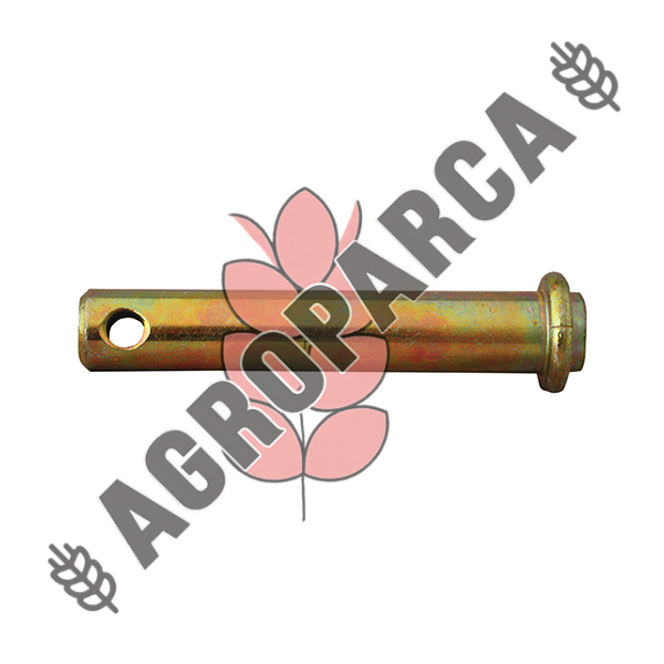 19MM*11CM ORTAKOL PİMİ 1 ADET
